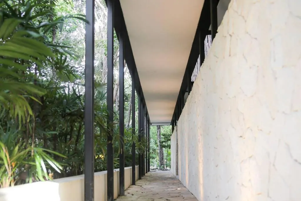 Casa Yaxkin-Modern Apartment With Private Plunge Pool-Jacuzzi In Tulum Mexico