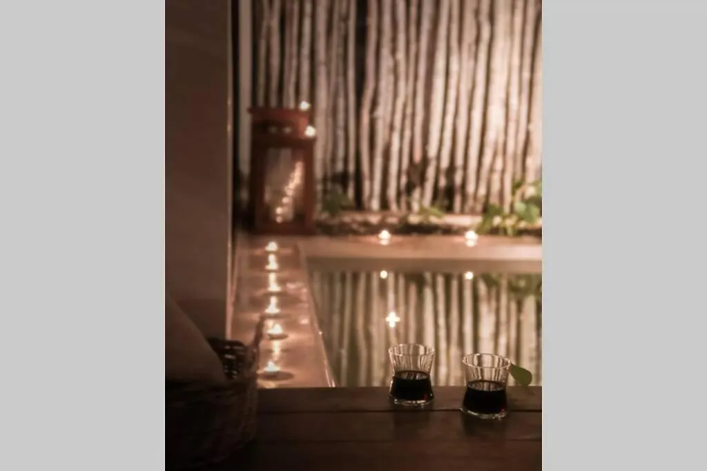 Casa Yaxkin-Modern Apartment With Private Plunge Pool-Jacuzzi In Tulum